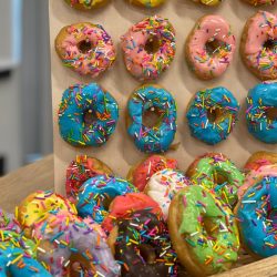 WhatsApp Image 2022-12-19 at 10.44.10