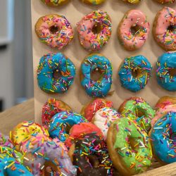 WhatsApp Image 2022-12-19 at 10.44.10